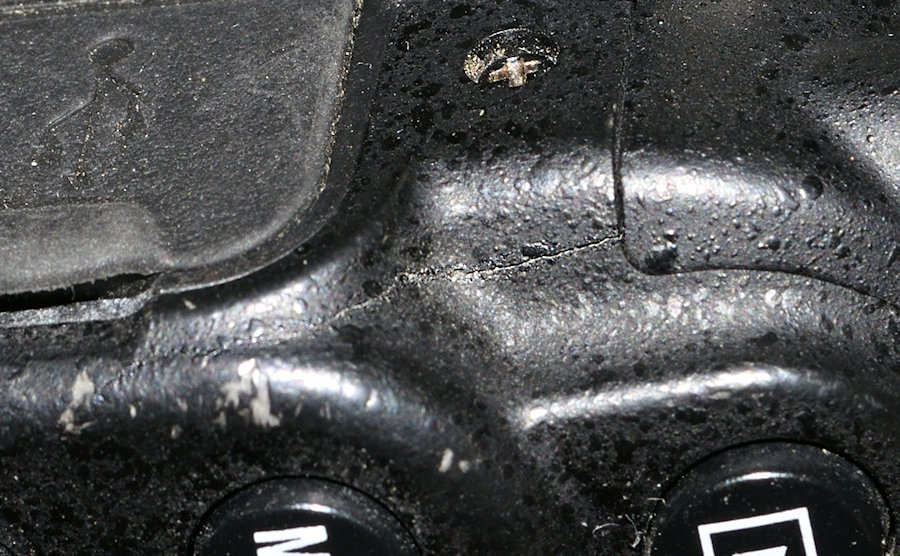 DSC_10848.jpg