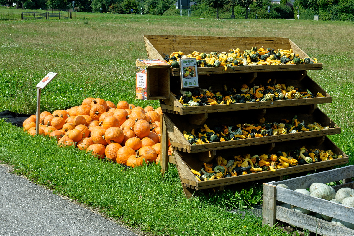 DSC_1089dxo1200.jpg