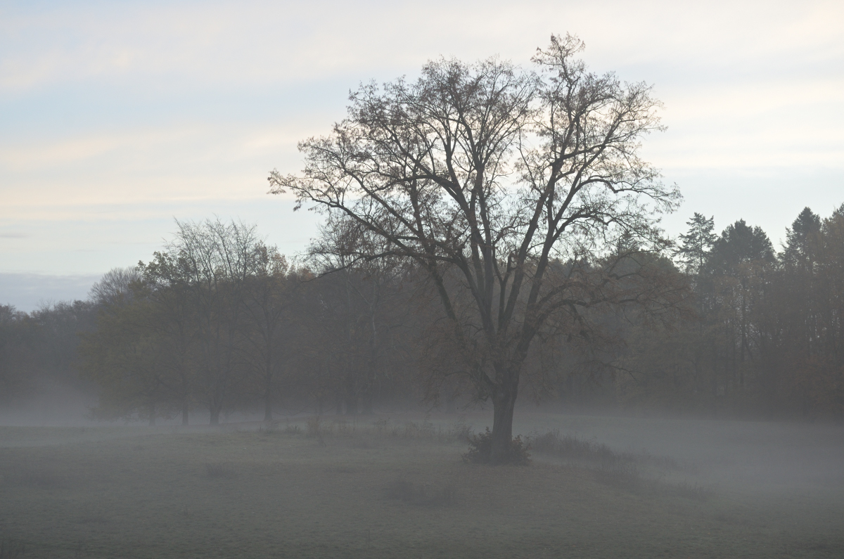 DSC_1092.JPG