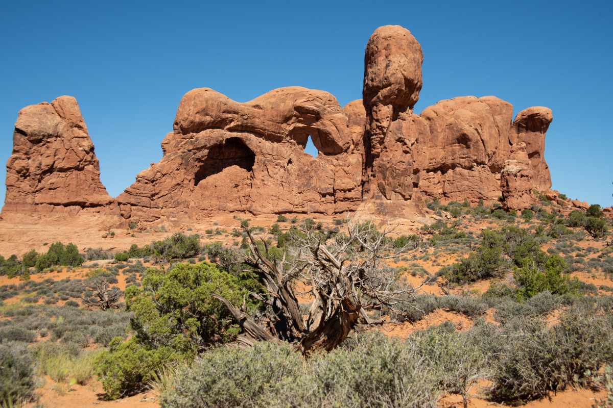 DSC_1097.jpg