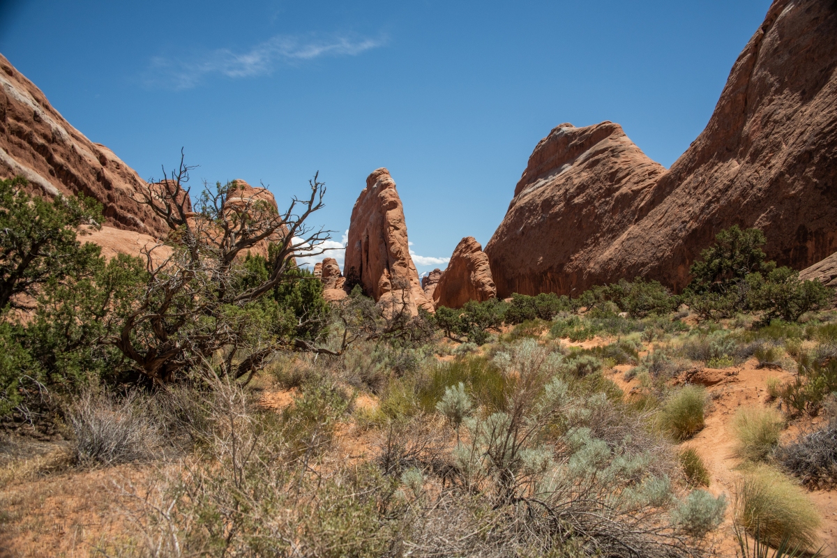 DSC_1116.jpg