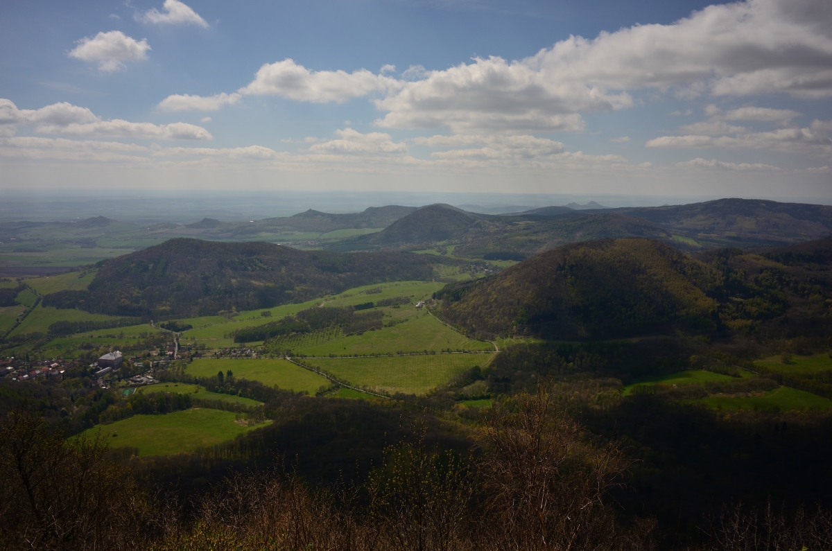 DSC_1119_00001n.jpg