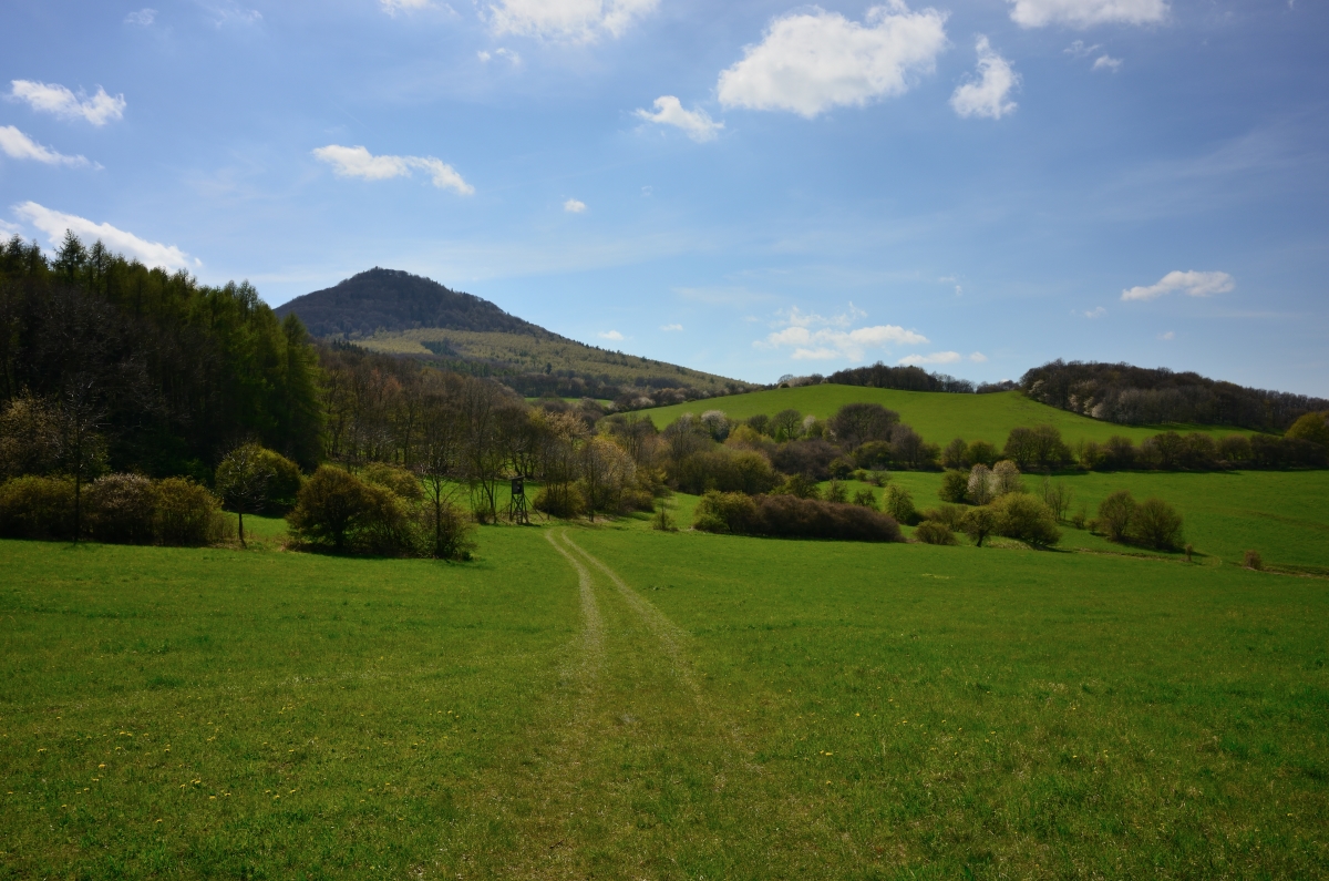 DSC_1126_00001n1.jpg