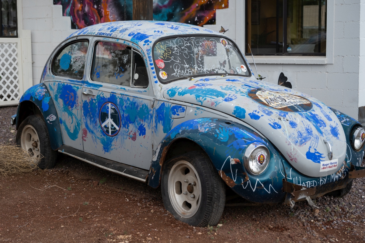DSC_1132.jpg