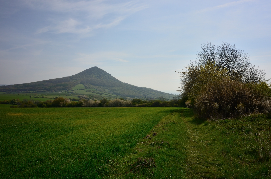 DSC_1139_00001n.jpg