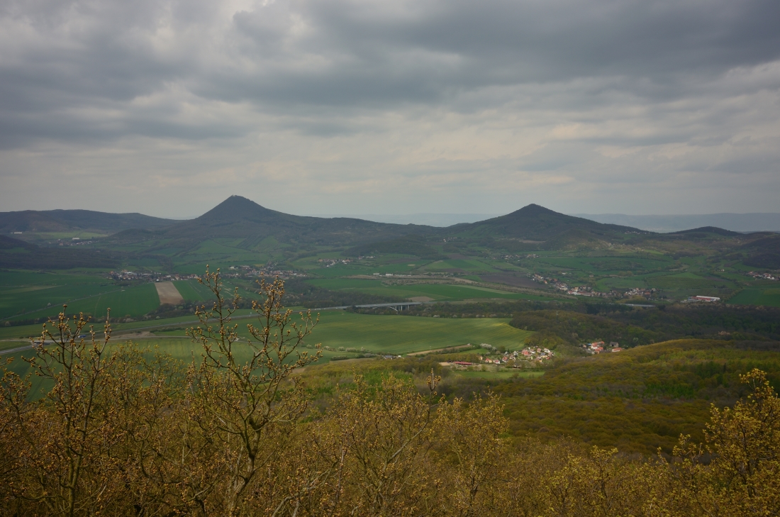 DSC_1144_00001n.jpg