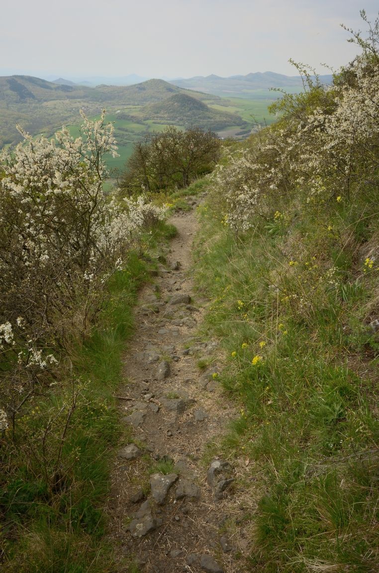 DSC_1147_00001n1.jpg