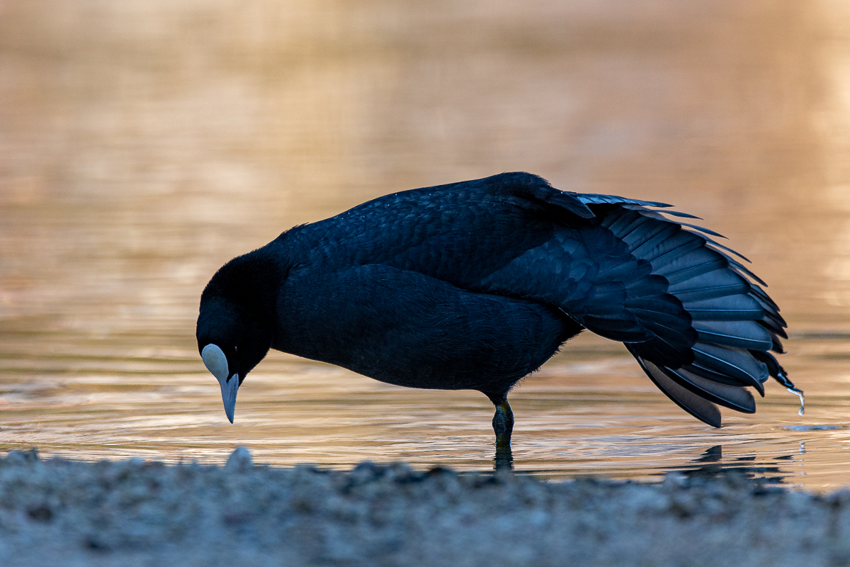 DSC_1148.jpg