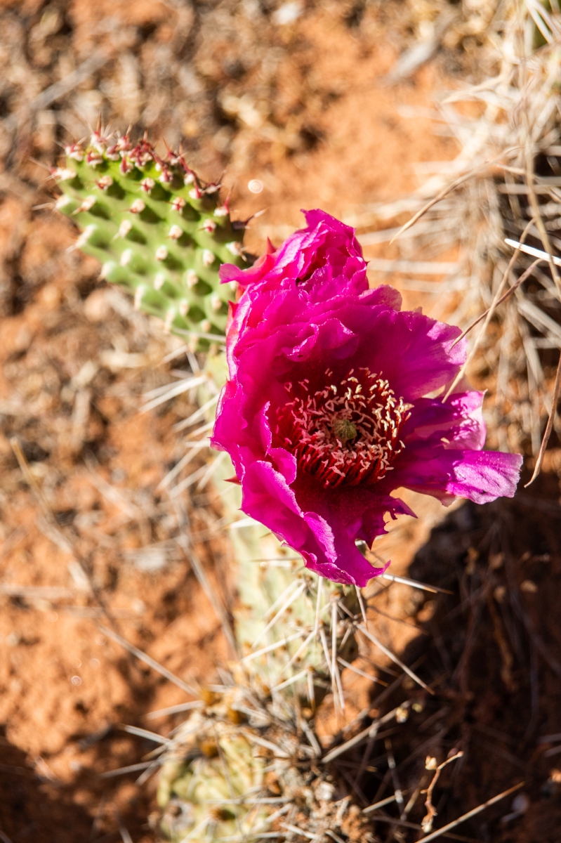 DSC_1148.jpg