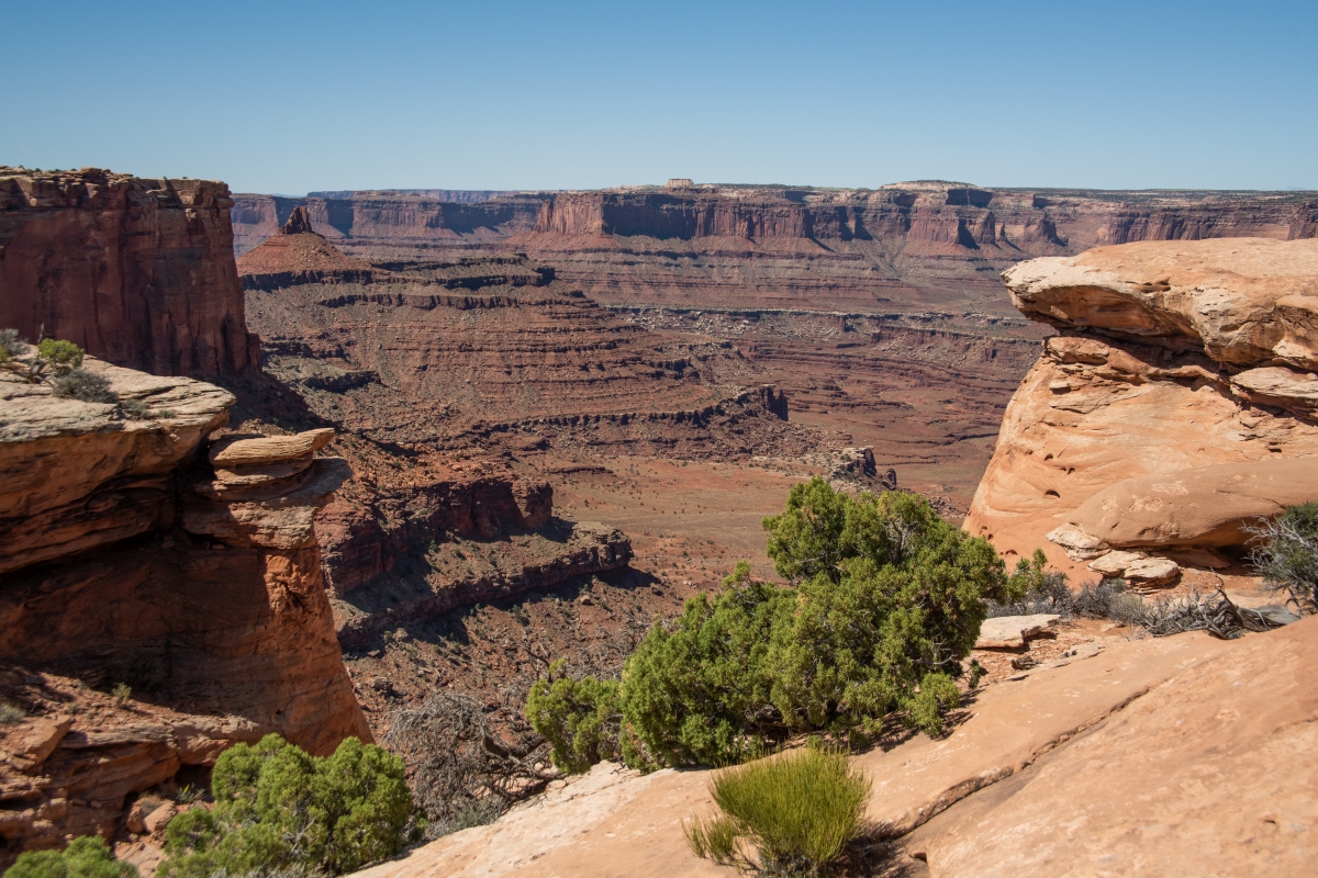 DSC_1157.jpg