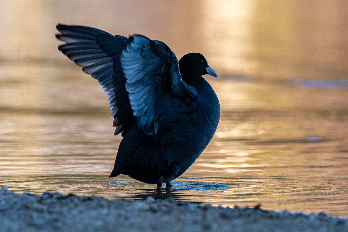 DSC_1161.jpg