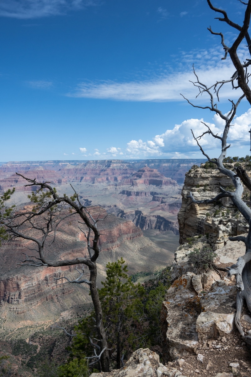 DSC_1162.jpg
