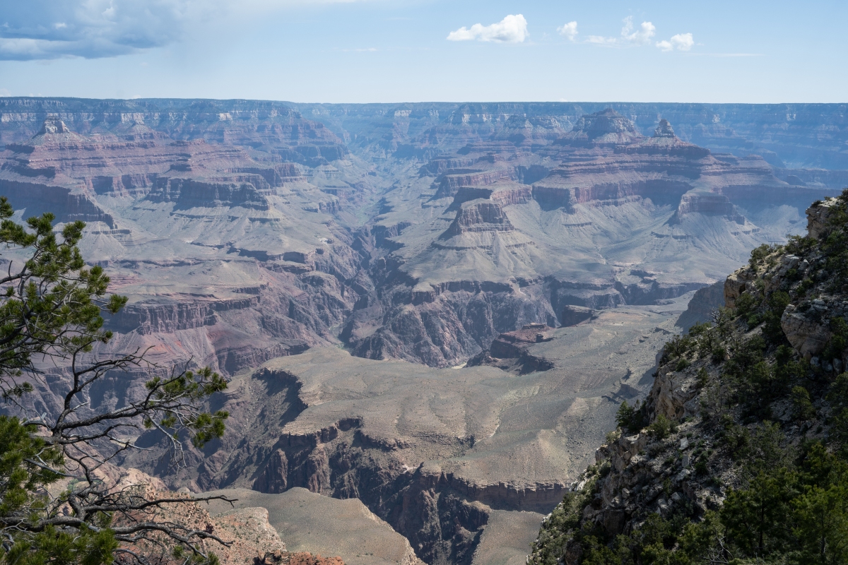 DSC_1165.jpg