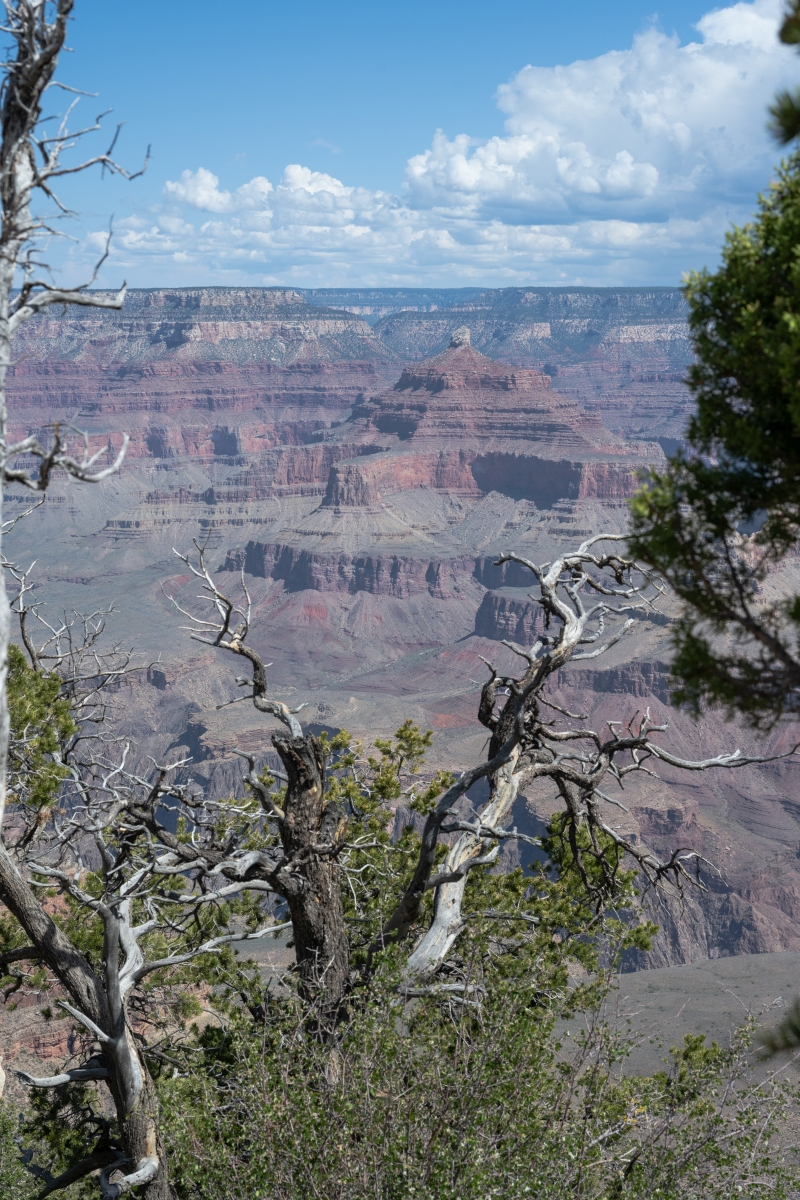 DSC_1169.jpg