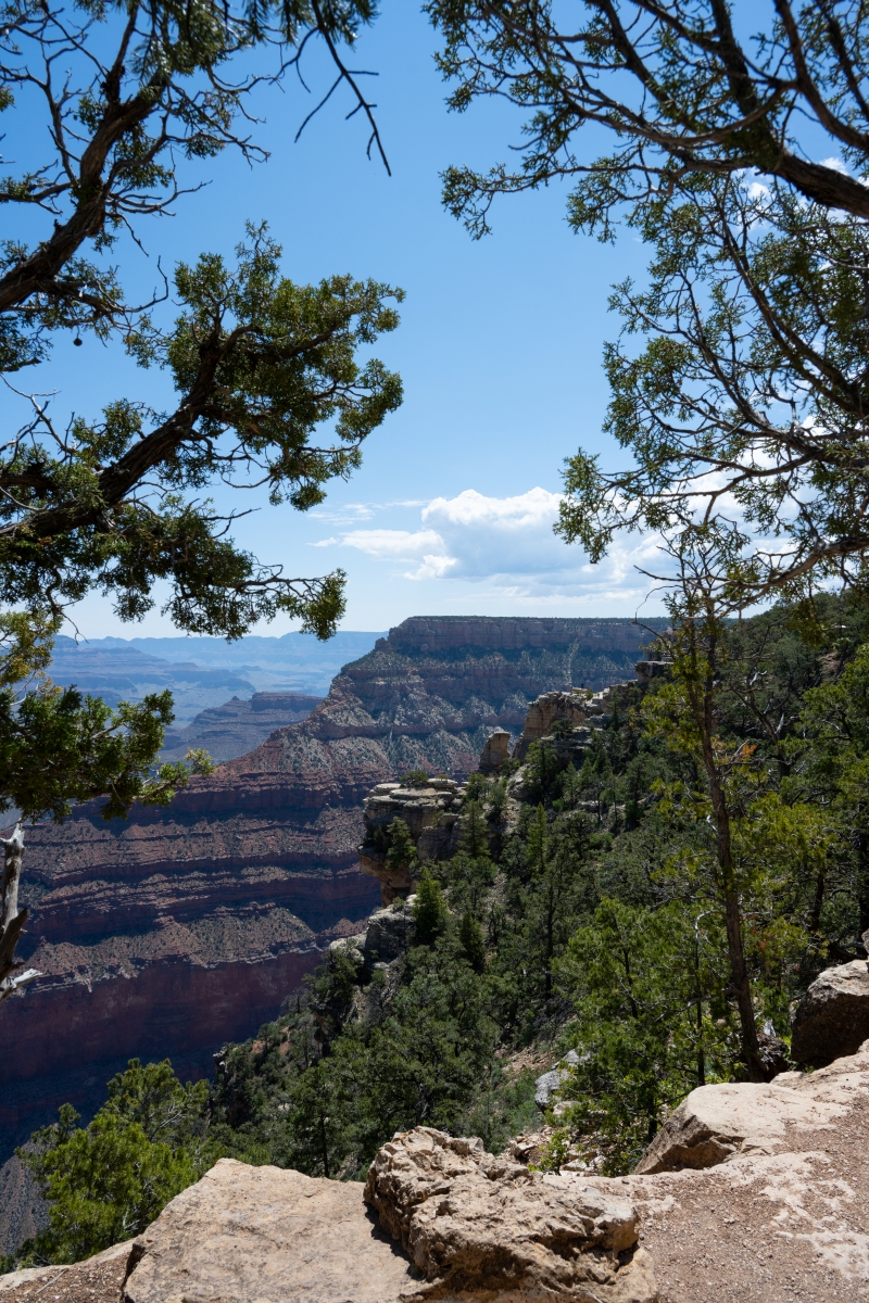 DSC_1178.jpg