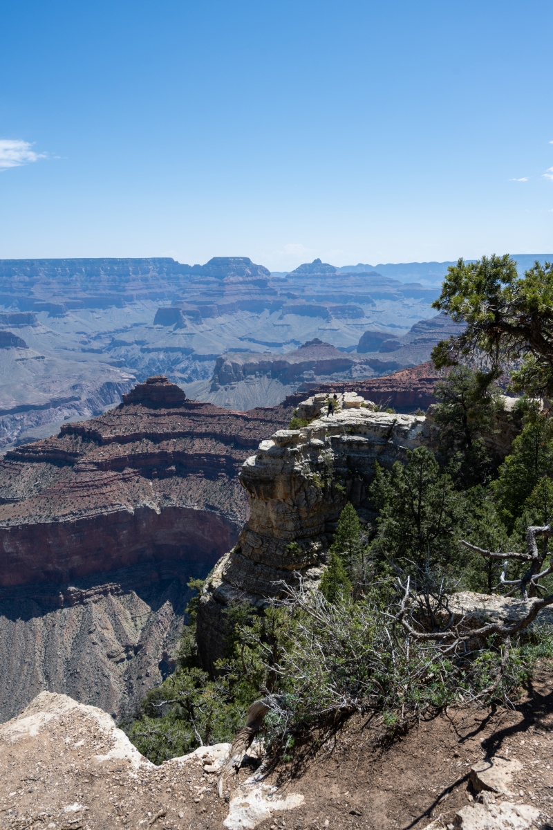 DSC_1179.jpg