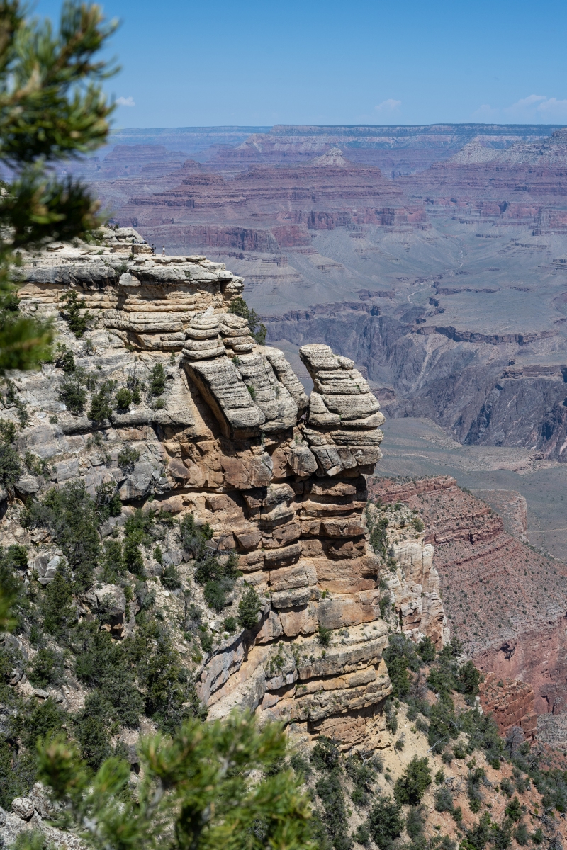 DSC_1188.jpg