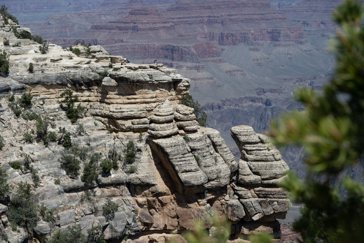 DSC_1190.jpg