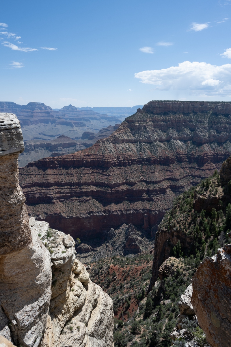 DSC_1191.jpg