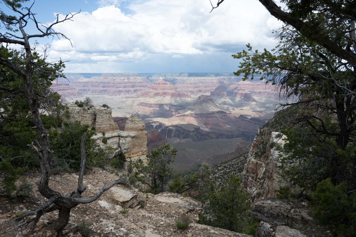 DSC_1196.jpg