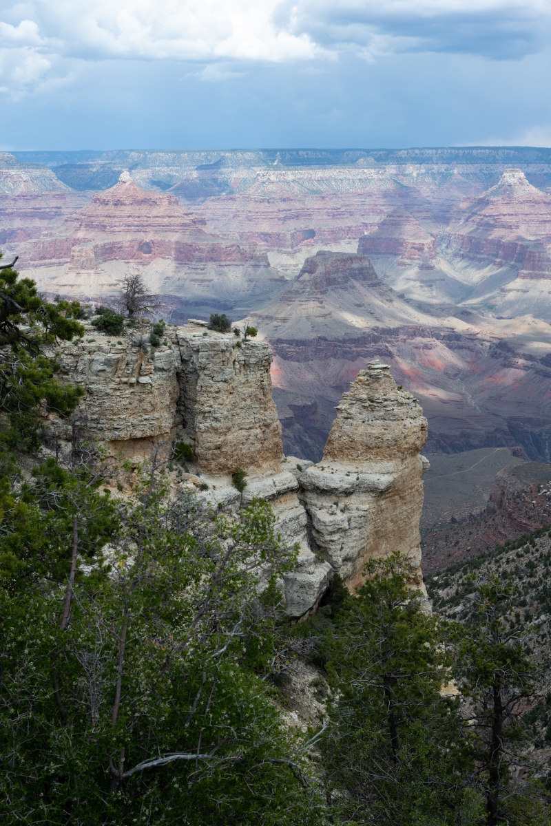DSC_1197.jpg