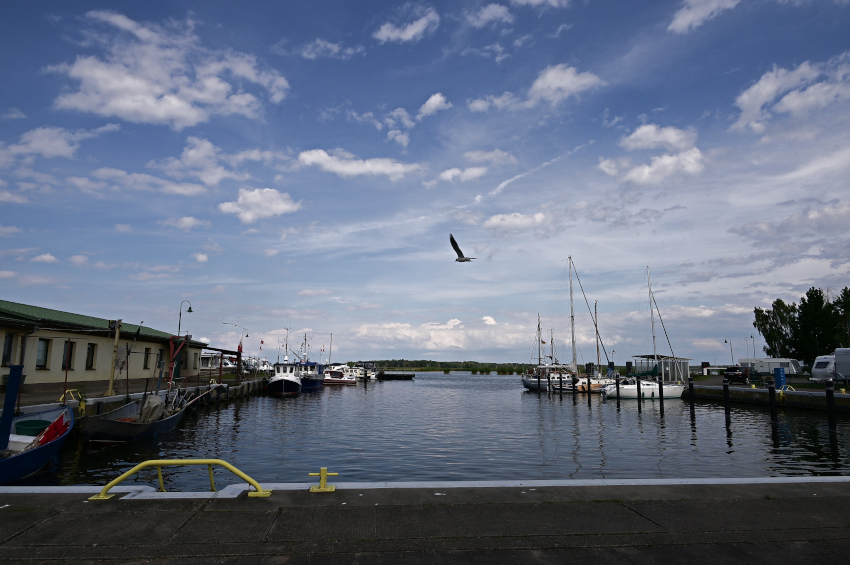 DSC_1198-20240618.jpg