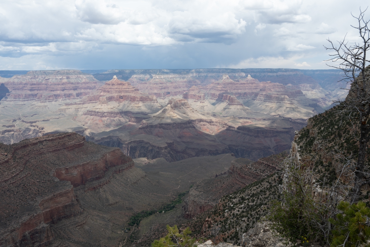 DSC_1198.jpg