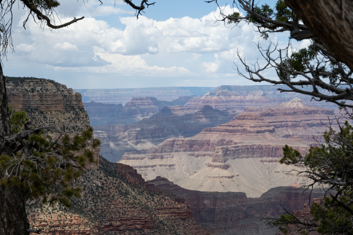DSC_1200.jpg
