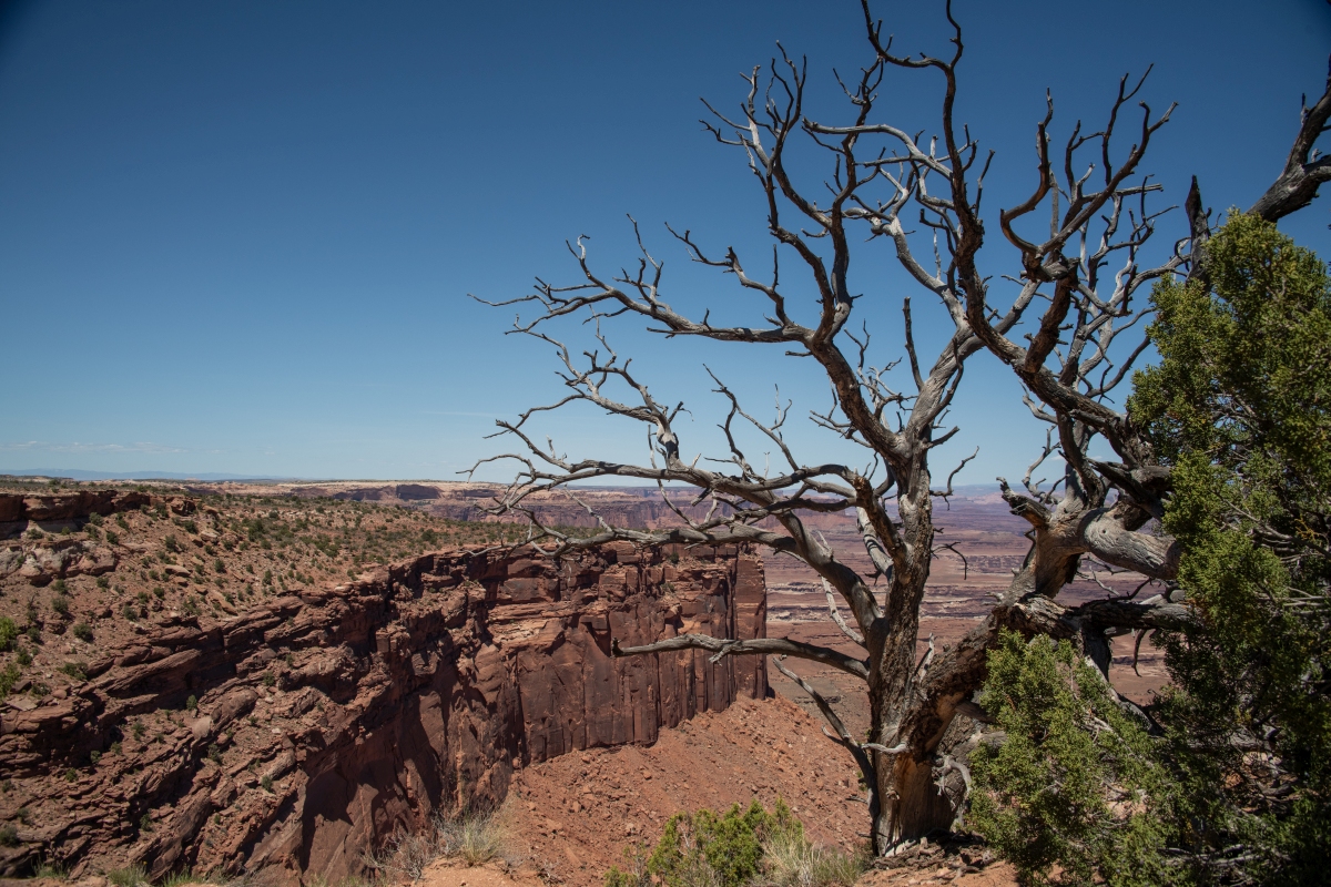 DSC_1201.jpg