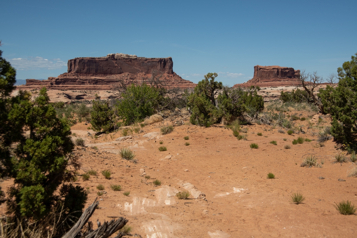 DSC_1203.jpg