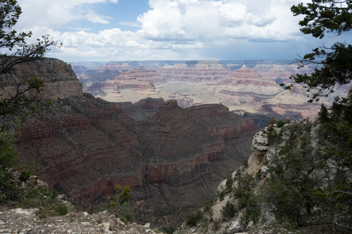 DSC_1205.jpg