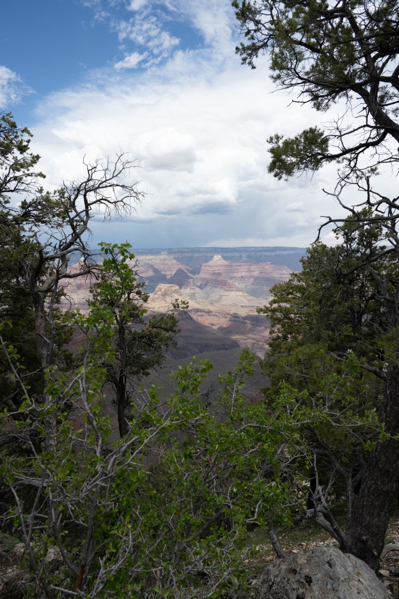 DSC_1206.jpg