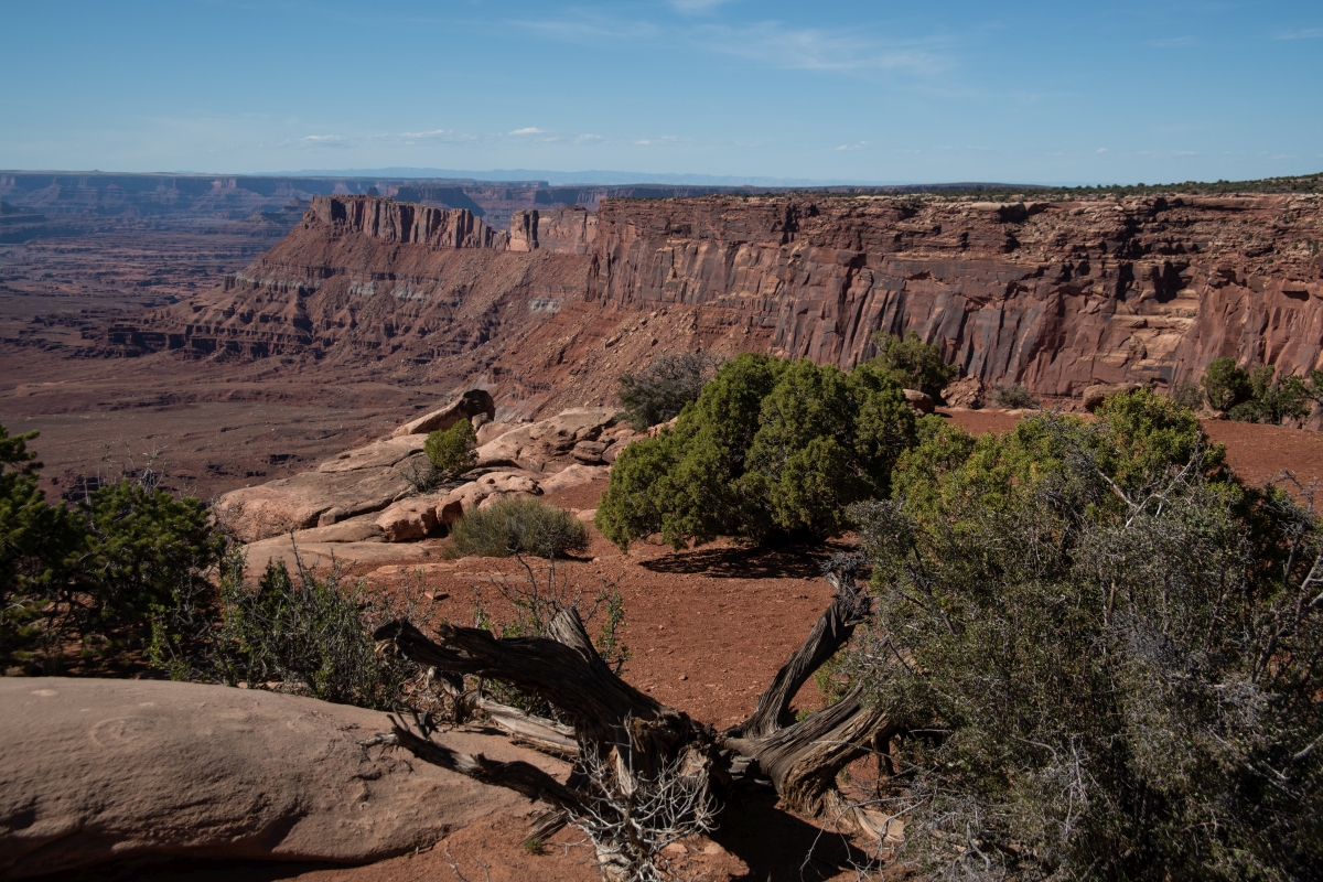 DSC_1208.jpg