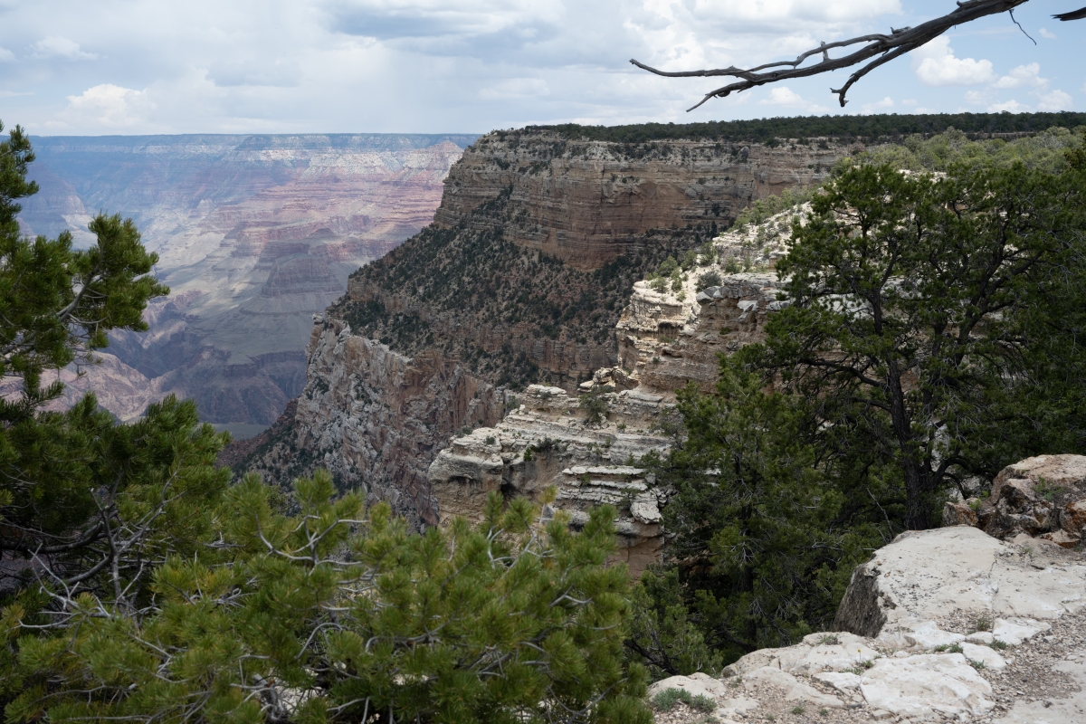 DSC_1208.jpg