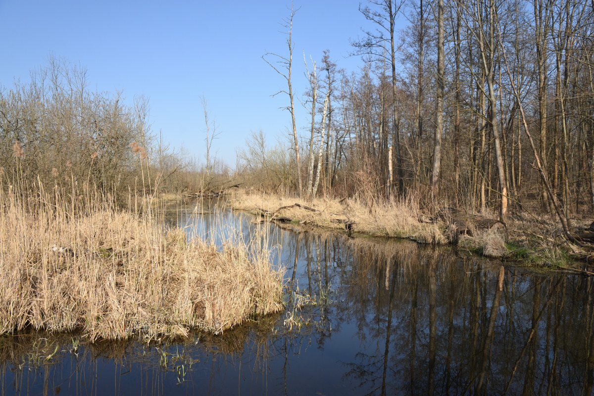 DSC_1216.JPG