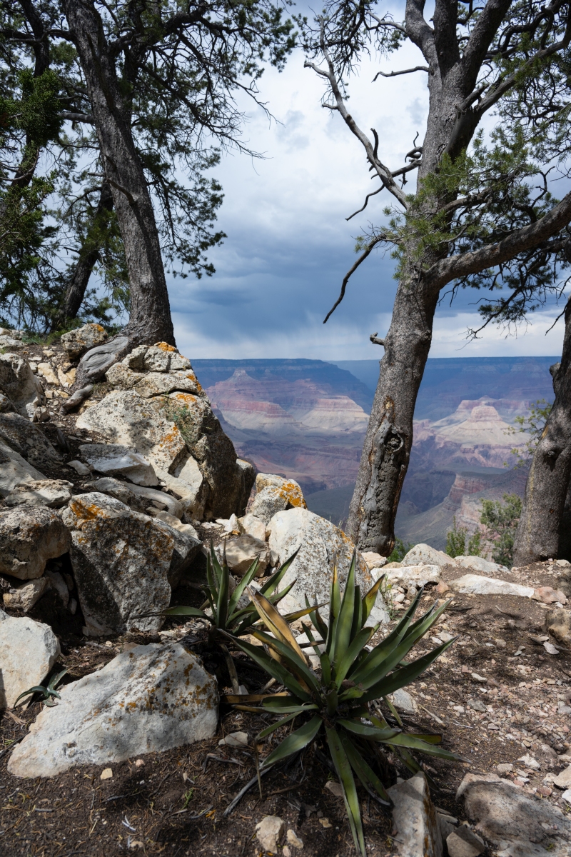 DSC_1219.jpg
