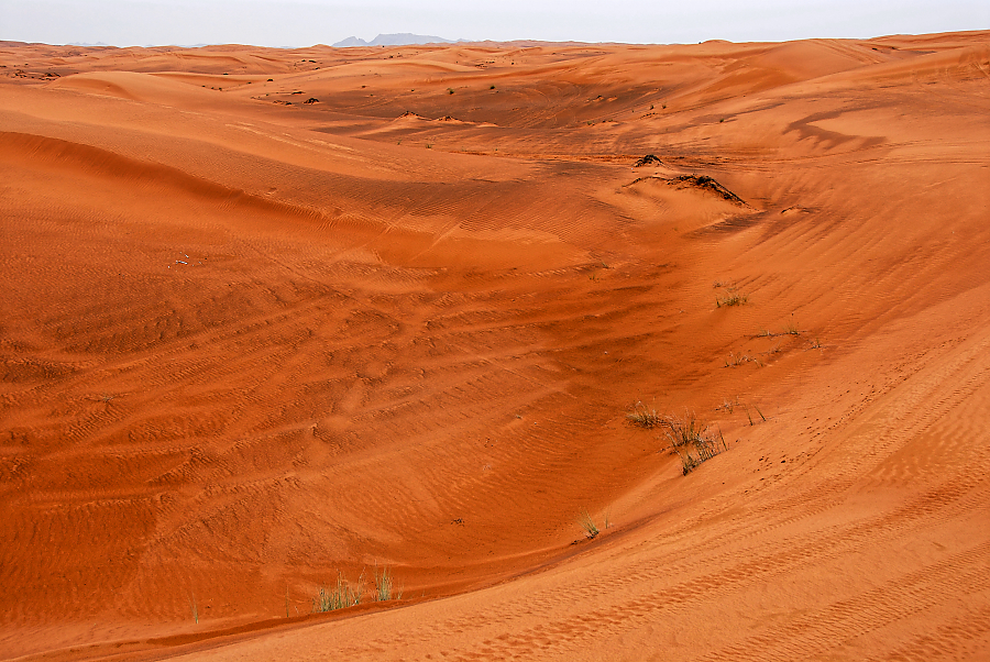 DSC_1222.jpg