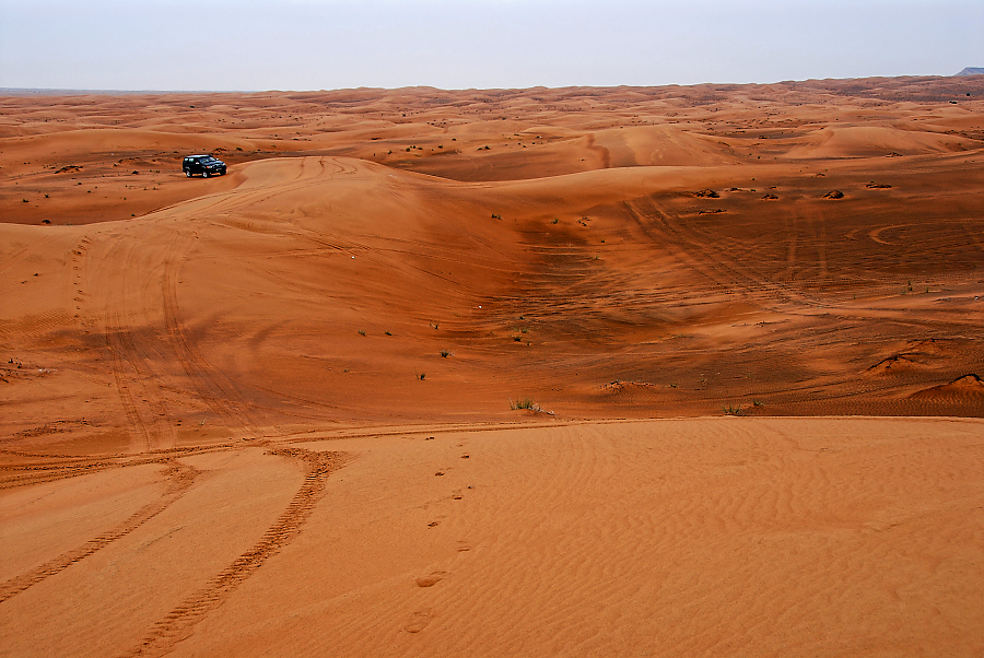 DSC_1225.jpg