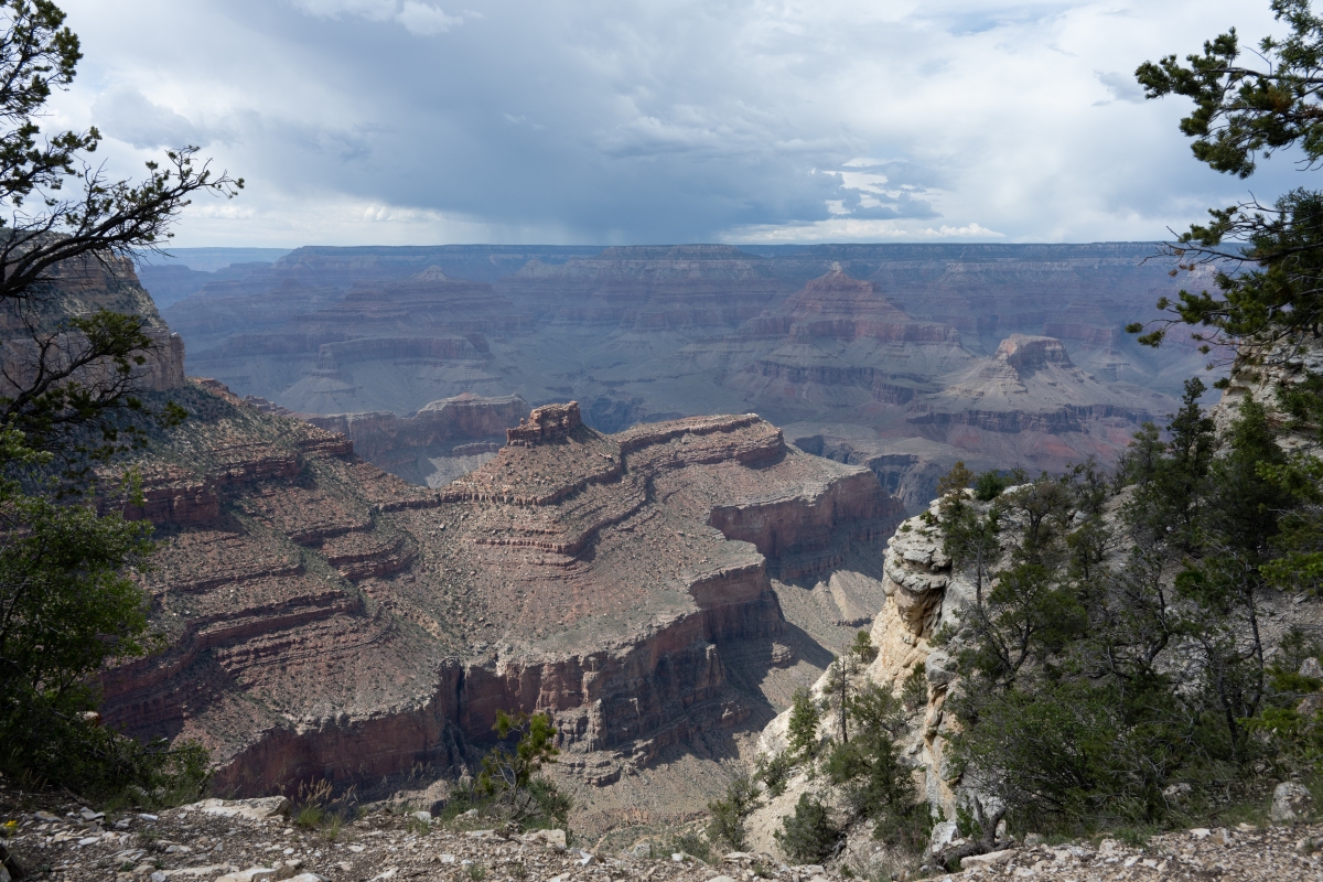 DSC_1229.jpg