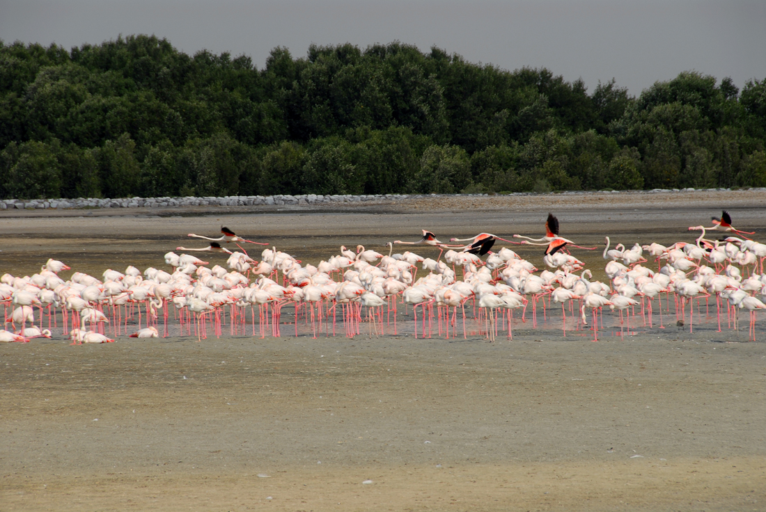 DSC_1235.jpg