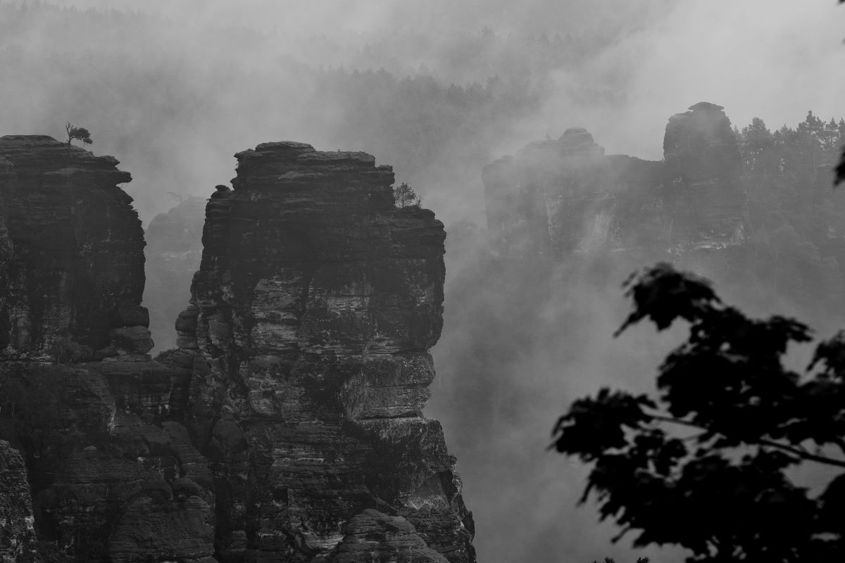 DSC_1239_00001_03n.jpg