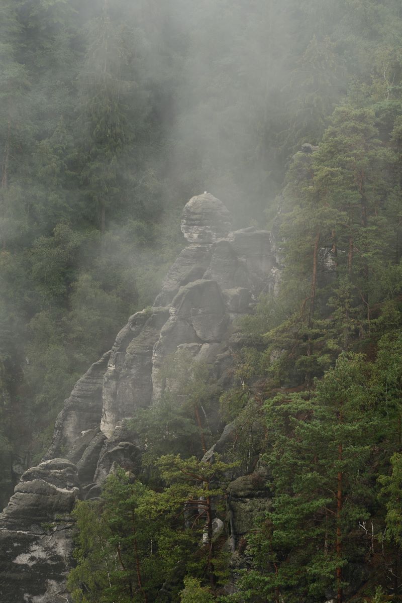 DSC_1242_00001n.jpg
