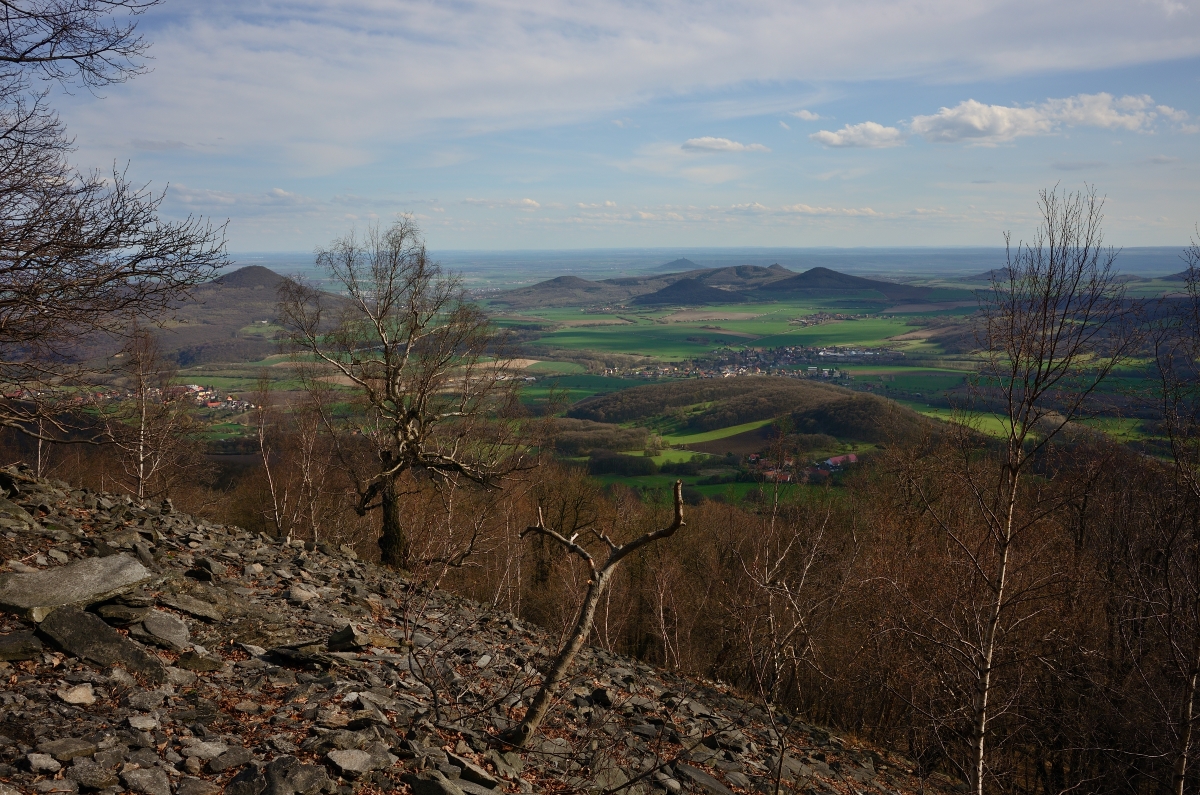 DSC_1274_00011n.jpg
