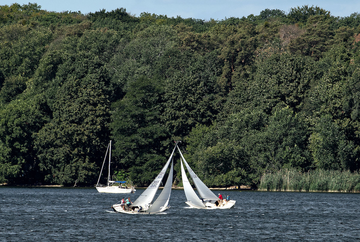 DSC_1294.jpeg