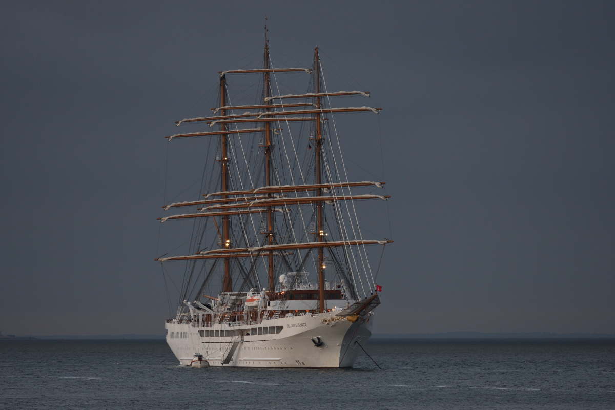 DSC_1298.JPG