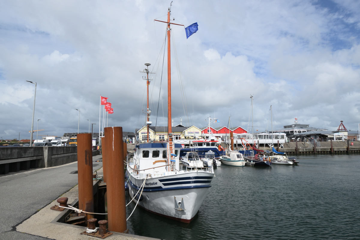 DSC_1299.JPG