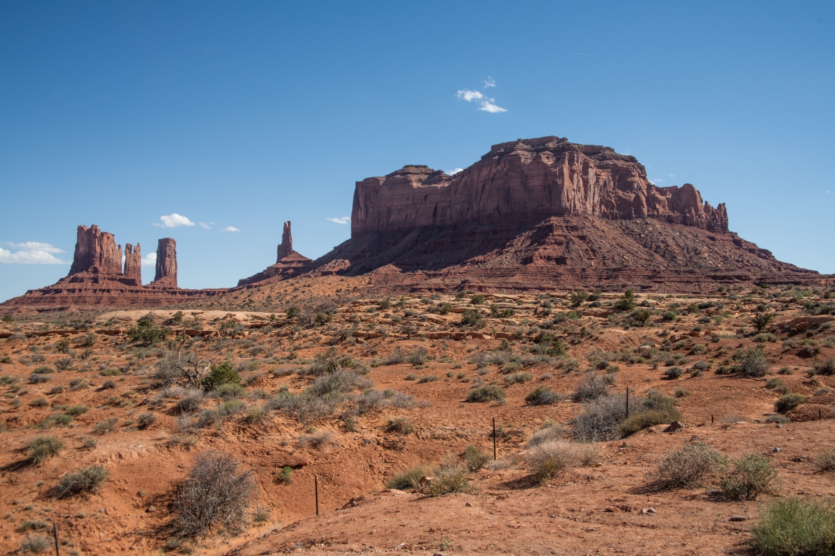 DSC_1300.jpg