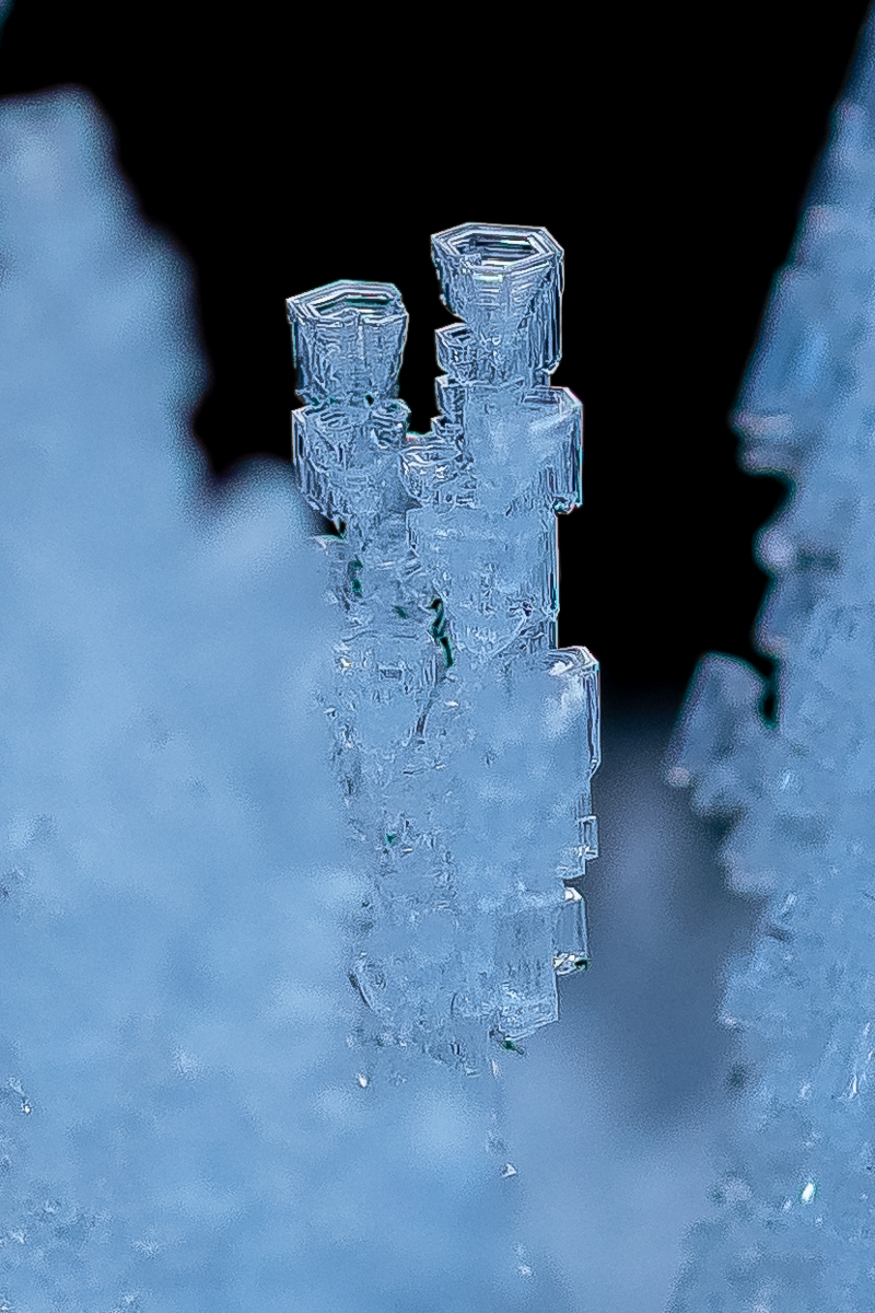 DSC_1304.jpg