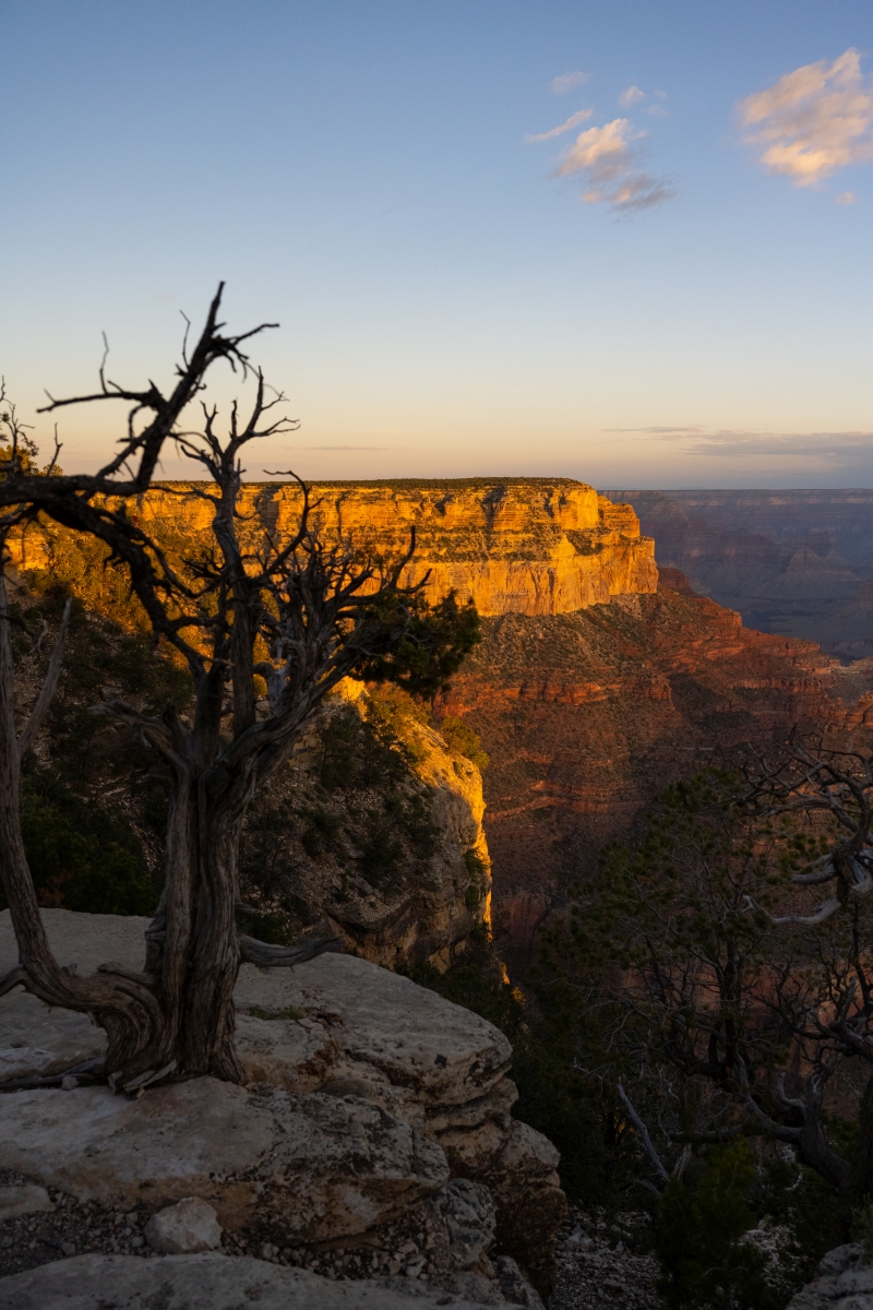 DSC_1304.jpg