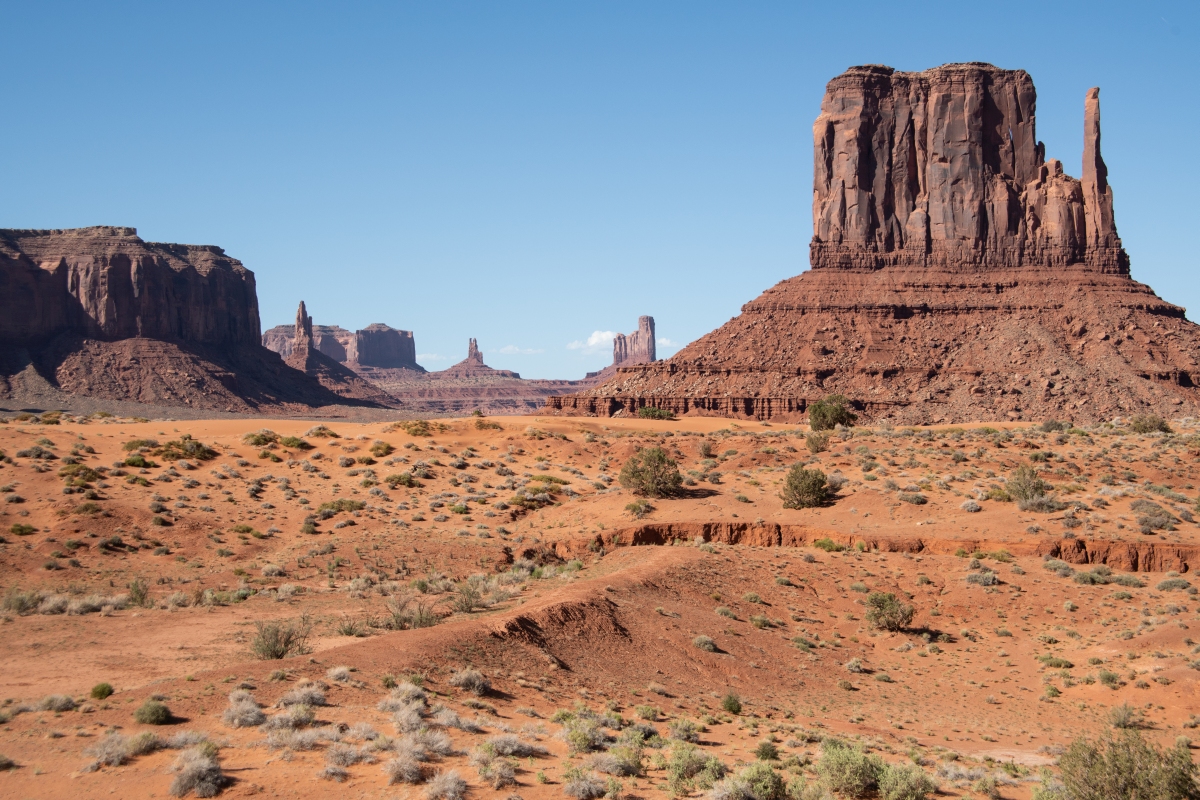 DSC_1309.jpg